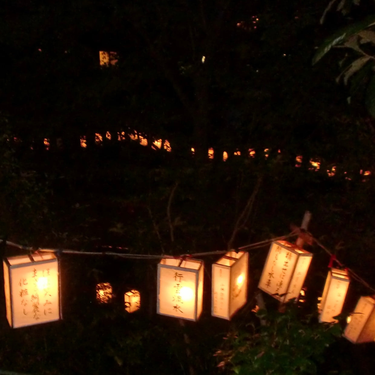 summer lanterns