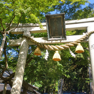 daily walk shrine